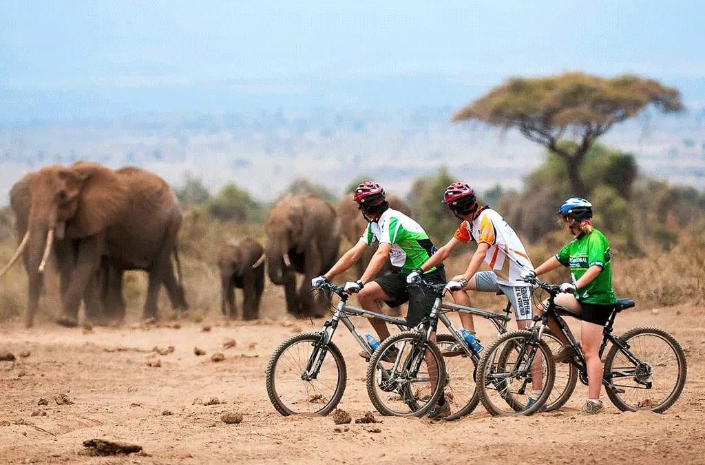 Cycling-safaris-in-Uganda