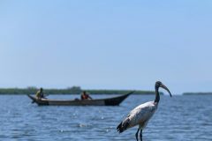 hammilton-ojijo-Ly9z1yfmoIU-unsplash